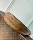 Сумка Louis Vuitton Loop Hobo M46311